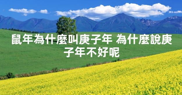 鼠年為什麼叫庚子年 為什麼說庚子年不好呢